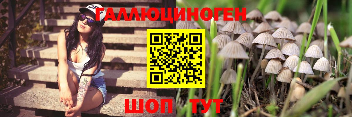 Галлюциногенные грибы прущие грибы  Вход с VPN  Карпинск 
